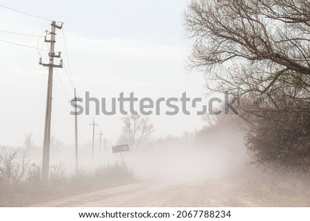 foggy road. misty morning in the woods. silhouette of trees and rural road in morning fog. pale color wood obscure forest air. Atmospheric autumn landscape