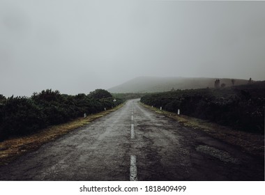 Foggy road on the top of Madeira island - Powered by Shutterstock