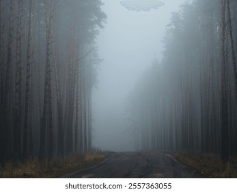 A foggy road in a tall pine forest - Powered by Shutterstock