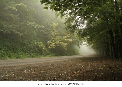 21,193 Forrest road Images, Stock Photos & Vectors | Shutterstock