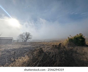 A foggy rural landscape with the sun piercing through the mist, casting a soft light on dry vegetation and a solitary tree. A small structure with a metal roof stands to the side. - Powered by Shutterstock