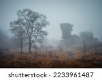 Foggy scene at Brimham Rocks, North Yorkshire