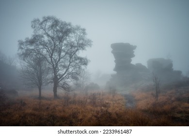 Foggy scene at Brimham Rocks, North Yorkshire