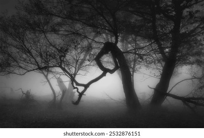 Foggy scene with twisted tree branches, misty atmosphere, silhouetted trees, eerie shadows, and an otherworldly ambiance. - Powered by Shutterstock