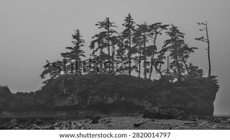 Foggy Sea Stack with Windswept Evergreen Trees on the West Coast Trail, Vancouver Island