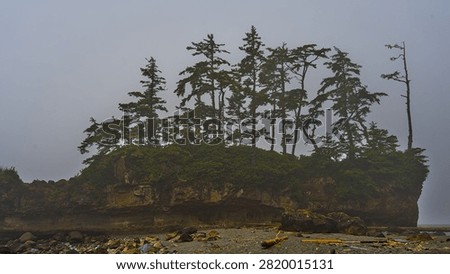 Foggy Sea Stack with Windswept Evergreen Trees on the West Coast Trail, Vancouver Island