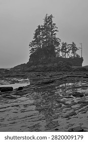 Foggy Sea Stack with Windswept Trees at Low Tide on Vancouver Island, Canada