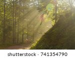 Foggy sherwood. Sun trough the trees. Path in the forest. Monte miaron, strada militare per i forti