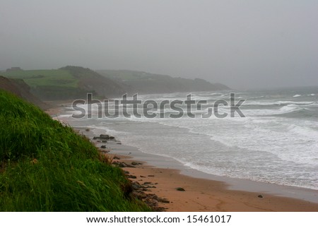 Foggy shore on a stormy day in Cape Breton, NS.