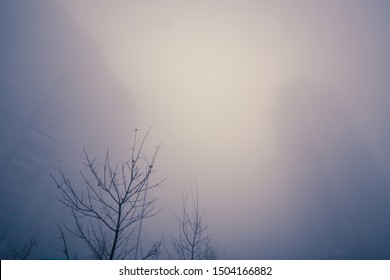 Foggy Silhouettes Of Modern High Buildings On Urban City Street At Dreamy Autumn Morning.