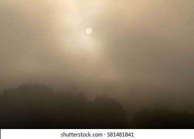 Foggy Sky,nara,japan