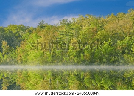 Foggy spring landscape at sunrise of the shoreline of Long Lake with heron and with reflections in calm water, Yankee Springs State Park, Michigan, USA