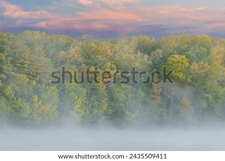 Foggy spring landscape at sunrise of the shoreline of Long Lake, Yankee Springs State Park, Michigan, USA