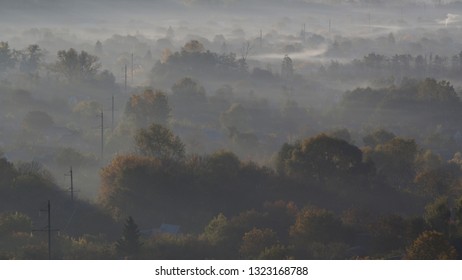 Foggy Suburbia In The Morning