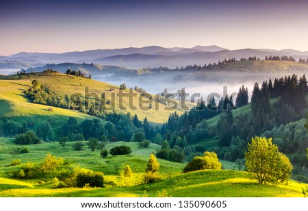 Foggy summer morning in the mountains. Carpathian, Ukraine, Europe. Beauty world. Foto stock © 