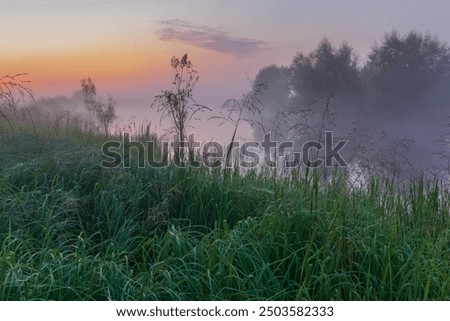 Similar – Morgens nebliger Fluss. Sommer nebliger Sonnenaufgang