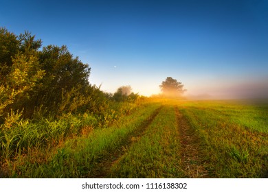 Foggy sunny morning on the summer field. Misty morning panorama. - Shutterstock ID 1116138302