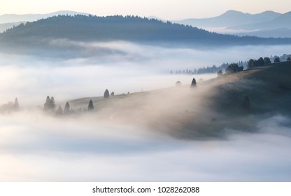 Foggy Sunrise In Bucovina, Romania