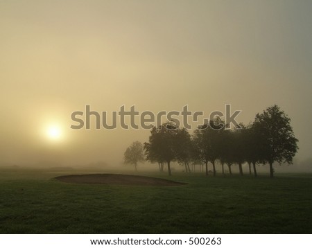 Foggy sunrise on a golf course