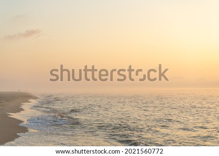 Foggy sunrise over the sea. Pastel shades. Beautiful landscape. Sandy beach of the ocean. Sunset sky. Clouds and fog. Coast. A flock of birds flies away like a wedge in the sky.