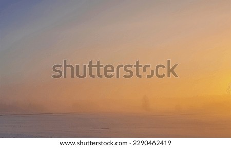 A Foggy Sunrise in the Winter
