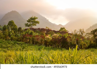 Foggy sunset landscapes surrounding the small village of coffee growers in the highlands of Honduras. Santa Barbara National Park
