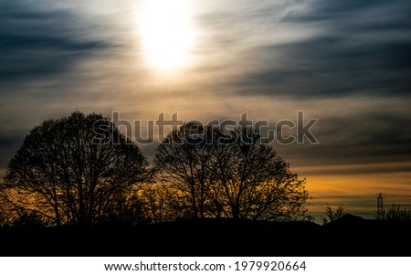 Foggy sunset with tree branches silhuettes. Minimal mistycal concept of sunset or sunrise sky.