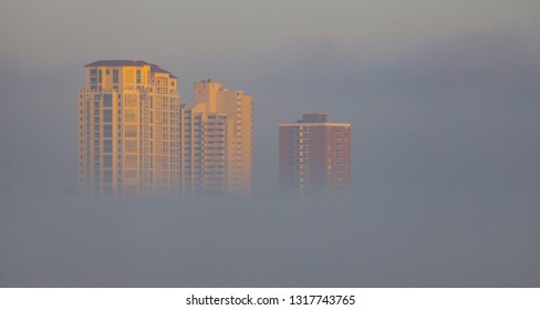 Foggy Tampa Morning With Architecture And Sunrise