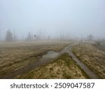 Foggy trail, barren landscape, eerie atmosphere