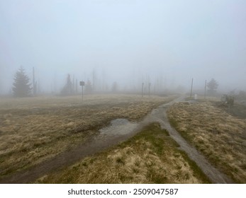 Foggy trail, barren landscape, eerie atmosphere - Powered by Shutterstock