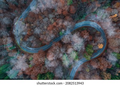Foggy travel day, aerial view at the evening traffic at an autumnal country road with lighttrails of driving cars in a beautiful fall atmosphere.