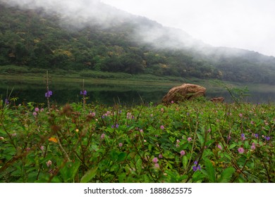 Foggy Victoria Lake Near Victoria Dam - Teldeniya, Kandy District