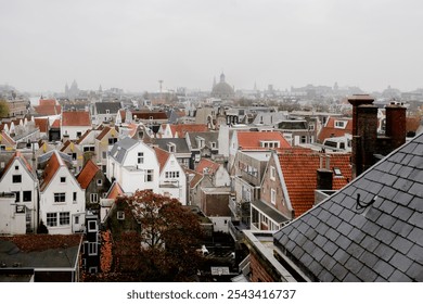 Foggy view over Amsterdam’s historic rooftops, showcasing charming gabled houses, red-tiled roofs, and distant spires in soft, overcast light, capturing the city’s serene ambiance. - Powered by Shutterstock