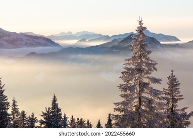 Foggy Winter Evening Panorama Of The Allgäu Alps In Bavaria