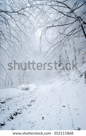 Similar – Winter fog on the footpath