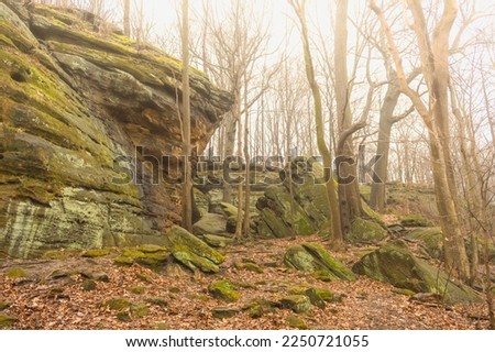Foggy winter forest with stone ledges.