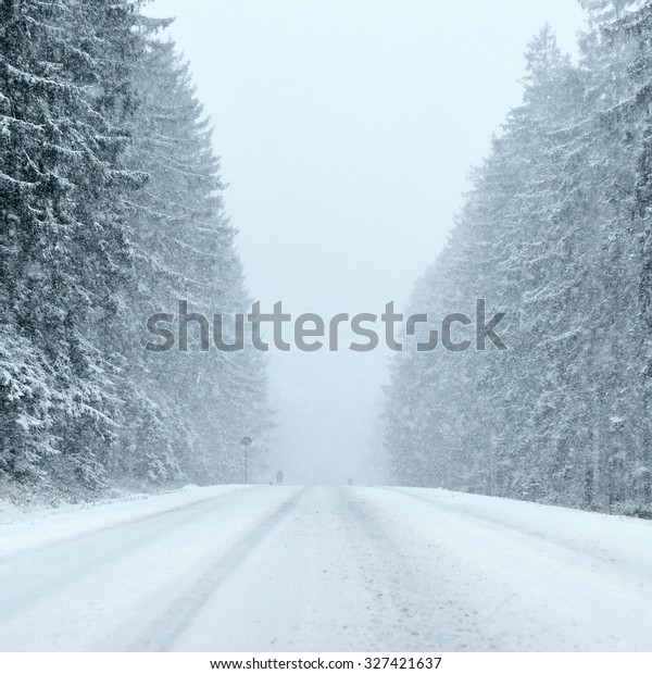 Foggy Winter\
Road