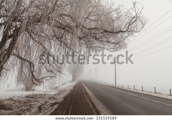 Foggy\
winter road, in Northern Ontario\
countryside.