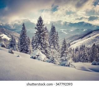 Foggy winter scene in the snowy mountains. Retro style. - Shutterstock ID 347792393