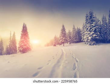 Foggy Winter Sunrise In The Mountains.