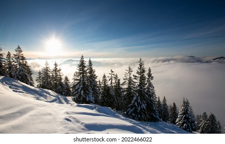 Foggy Winter View In The Allgäu Alps In Bavaria