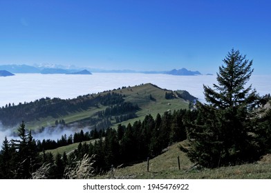 The fog-ocean over the swiss alps seen from Rigi-Kulm near Kaltbrunn in Central Switzerland