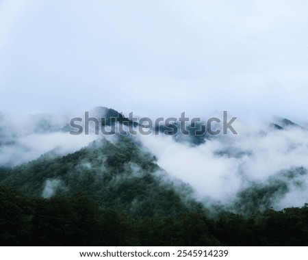 Image, Stock Photo Reminds me of Japan