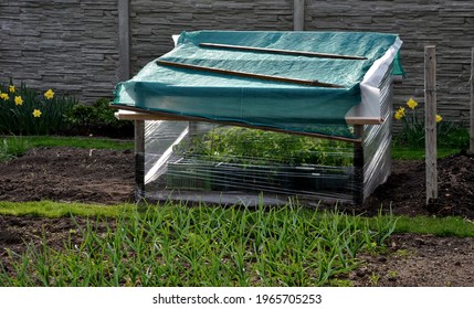 Foil Cover For Growing Vegetables Simply Made Of Shrink Wrap For Food Packaging Used To Grow Vegetables