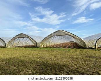 3,115 Tunnel Greenhouse Images, Stock Photos & Vectors | Shutterstock