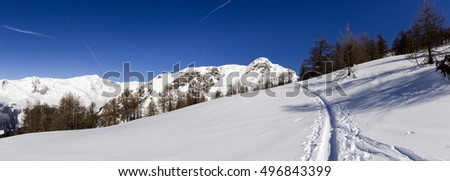 Foto Bild Predigtstuhl Natur