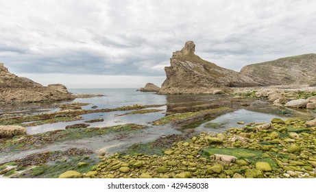 Folded Beds Of Purbeck And Portland Limestone Cropping Out At Mupe On Dorset's Jurassic Coast. 