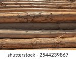 A folded stack of logs lying on the ground. Cutting and laying of sawn timber in production. The logging industry. Logs for the construction of wooden houses. Ecological building material.