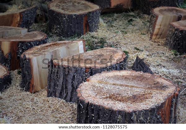 Folded trees. Round small
logs.