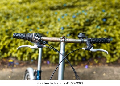 nature folding bike